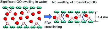Graphical abstract: 2D graphene oxide channel for water transport