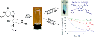 Graphical abstract: G4-quartet hydrogels from 5′-hydrazino-guanosine for the non-covalent and covalent remediation of contaminants from water