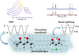 Graphical abstract: Large amplitude motions within molecules trapped in solid parahydrogen