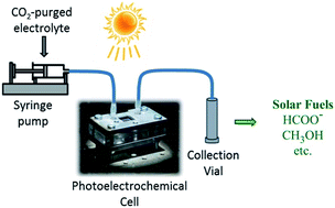 Graphical abstract: A microfluidic photoelectrochemical cell for solar-driven CO2 conversion into liquid fuels with CuO-based photocathodes