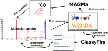 Graphical abstract: Deciphering complex metabolite mixtures by unsupervised and supervised substructure discovery and semi-automated annotation from MS/MS spectra