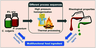Graphical abstract: Impact of different sequences of mechanical and thermal processing on the rheological properties of Porphyridium cruentum and Chlorella vulgaris as functional food ingredients