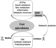Graphical abstract: The effects of gut microbiota on metabolic outcomes in pregnant women and their offspring