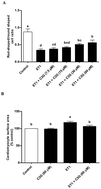 Graphical abstract: Cyanidin 3-O-glucoside prevents the development of maladaptive cardiac hypertrophy and diastolic heart dysfunction in 20-week-old spontaneously hypertensive rats