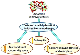 Graphical abstract: Effect of lactoferrin on taste and smell abnormalities induced by chemotherapy: a proteome analysis