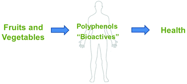 Graphical abstract: The effects of polyphenols and other bioactives on human health