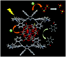 Graphical abstract: A supramolecular photocatalyst composed of a polyoxometalate and a photosensitizing water-soluble porphyrin diacid for the oxidation of organic substrates in water