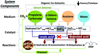 Graphical abstract: Propylene carbonate and γ-valerolactone as green solvents enhance Sn(iv)-catalysed hydroxymethylfurfural (HMF) production from bread waste