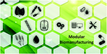 Graphical abstract: Modular biomanufacturing for a sustainable production of terpenoid-based insect deterrents