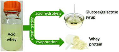 Graphical abstract: Production of monosaccharides and whey protein from acid whey waste streams in the dairy industry