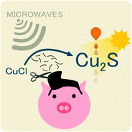 Graphical abstract: Microwave-assisted valorization of pig bristles: towards visible light photocatalytic chalcocite composites