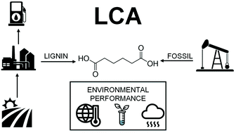 Graphical abstract: Life cycle assessment of adipic acid production from lignin