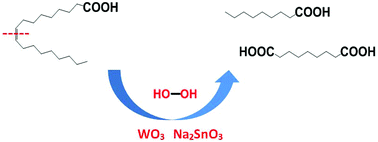 Graphical abstract: Sodium stannate promoted double bond cleavage of oleic acid by hydrogen peroxide over a heterogeneous WO3 catalyst
