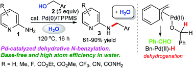 Graphical abstract: A borrowing hydrogen methodology: palladium-catalyzed dehydrative N-benzylation of 2-aminopyridines in water
