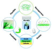 Graphical abstract: Controllable exfoliation of natural silk fibers into nanofibrils by protein denaturant deep eutectic solvent: nanofibrous strategy for multifunctional membranes