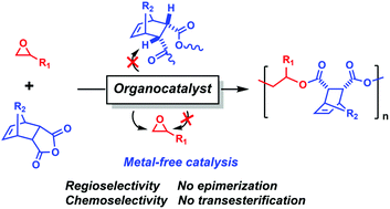 Graphical abstract: Metal-free, regioselective and stereoregular alternating copolymerization of monosubstituted epoxides and tricyclic anhydrides