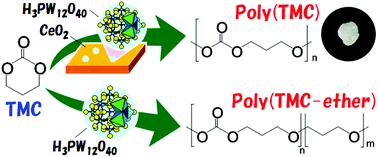 Graphical abstract: Development of a H3PW12O40/CeO2 catalyst for bulk ring-opening polymerization of a cyclic carbonate