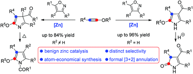 Graphical abstract: Benign catalysis with zinc: atom-economical and divergent synthesis of nitrogen heterocycles by formal [3 + 2] annulation of isoxazoles with ynol ethers