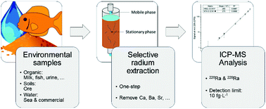Graphical abstract: Rapid, versatile and sensitive method for the quantification of radium in environmental samples through cationic extraction and inductively coupled plasma mass spectrometry