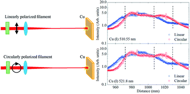 Graphical abstract: Spectral intensity clamping in linearly and circularly polarized femtosecond filament-induced Cu plasmas
