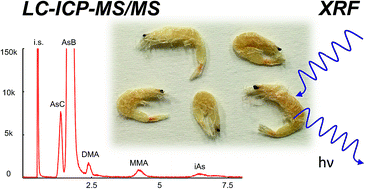 Graphical abstract: Characterization of arsenic in dried baby shrimp (Acetes sp.) using synchrotron-based X-ray spectrometry and LC coupled to ICP-MS/MS