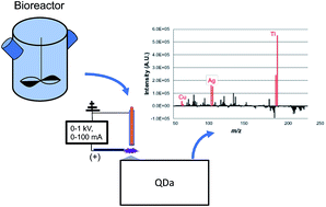 Graphical abstract: Proof-of-concept: Interfacing the liquid sampling-atmospheric pressure glow discharge ion source with a miniature quadrupole mass spectrometer towards trace metal analysis in cell culture media