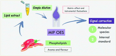 Graphical abstract: Internal standardization and plasma molecular species: signal correction approaches for determination of phosphorus from phospholipids in meat by MIP OES