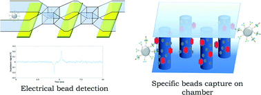 Graphical abstract: A microfluidic biochip platform for electrical quantification of proteins