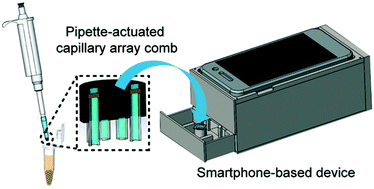Graphical abstract: Multiplex sample-to-answer detection of bacteria using a pipette-actuated capillary array comb with integrated DNA extraction, isothermal amplification, and smartphone detection