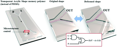 Graphical abstract: Programmable microfluidic logic device fabricated with a shape memory polymer