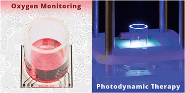 Graphical abstract: On-chip photodynamic therapy – monitoring cell metabolism using electrochemical microsensors
