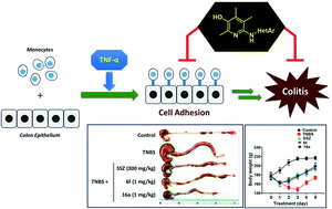 Graphical abstract: Synthesis and evaluation of 6-heteroarylamino-2,4,5-trimethylpyridin-3-ols as inhibitors of TNF-α-induced cell adhesion and inflammatory bowel disease