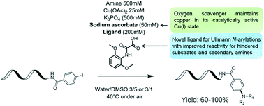 Graphical abstract: Efficient copper-catalyzed amination of DNA-conjugated aryl iodides under mild aqueous conditions