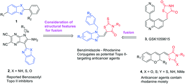 Graphical abstract: Design, synthesis and biological evaluation of benzimidazole–rhodanine conjugates as potent topoisomerase II inhibitors
