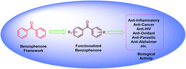 Graphical abstract: Benzophenone: a ubiquitous scaffold in medicinal chemistry
