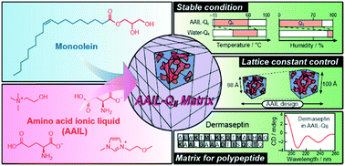 Graphical abstract: A tailor-made design of lipidic bicontinuous cubic matrices using amino acid ionic liquids as self-assembly media