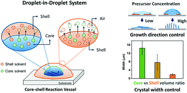 Graphical abstract: Crystallisation of organic molecules with a remarkably suppressed coffee-ring effect by a drop-drying process using binary solvent core–shell droplets