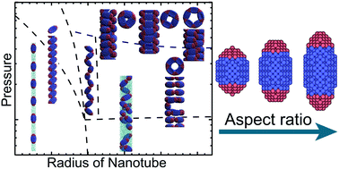 Graphical abstract: Self-assembly of spheroidal triblock Janus nanoparticle solutions in nanotubes