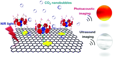 Graphical abstract: A supramolecular hybrid material constructed from graphene oxide and a pillar[6]arene-based host–guest complex as an ultrasound and photoacoustic signal nanoamplifier