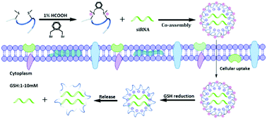 Graphical abstract: A siRNA-induced peptide co-assembly system as a peptide-based siRNA nanocarrier for cancer therapy