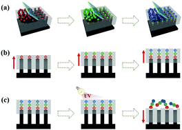 Graphical abstract: Multicolored photonic barcodes from dynamic micromolding