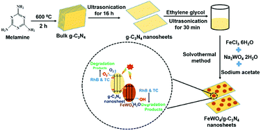 Graphical abstract: Construction of in situ self-assembled FeWO4/g-C3N4 nanosheet heterostructured Z-scheme photocatalysts for enhanced photocatalytic degradation of rhodamine B and tetracycline