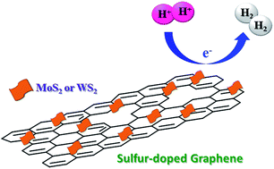 Graphical abstract: Sulfur-doped graphene/transition metal dichalcogenide heterostructured hybrids with electrocatalytic activity toward the hydrogen evolution reaction
