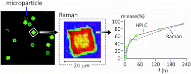 Graphical abstract: Quantitative micro-Raman analysis of micro-particles in drug delivery