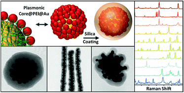 Graphical abstract: Modular assembly of plasmonic core–satellite structures as highly brilliant SERS-encoded nanoparticles