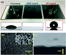 Graphical abstract: Transparent superhydrophilic and superhydrophobic nanoparticle textured coatings: comparative study of anti-soiling performance
