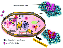 Graphical abstract: Modulation of biomimetic properties of cerium oxide nanoparticles by hypoxic tumor microenvironments: steering towards tumor specificity