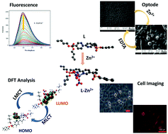 Graphical abstract: Bipyridine bisphosphonate-based fluorescent optical sensor and optode for selective detection of Zn2+ ions and its applications