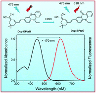 Graphical abstract: Synthesis and bioapplication of a highly selective and sensitive fluorescent probe for HOCl based on a phenothiazine–dicyanoisophorone conjugate with large Stokes shift