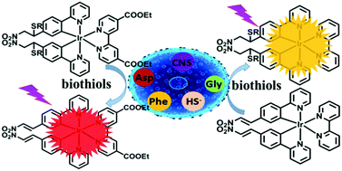 Graphical abstract: Nitroolefin-modified cyclometalated iridium(iii) complexes for tunable detection of biothiols with deep-red emission